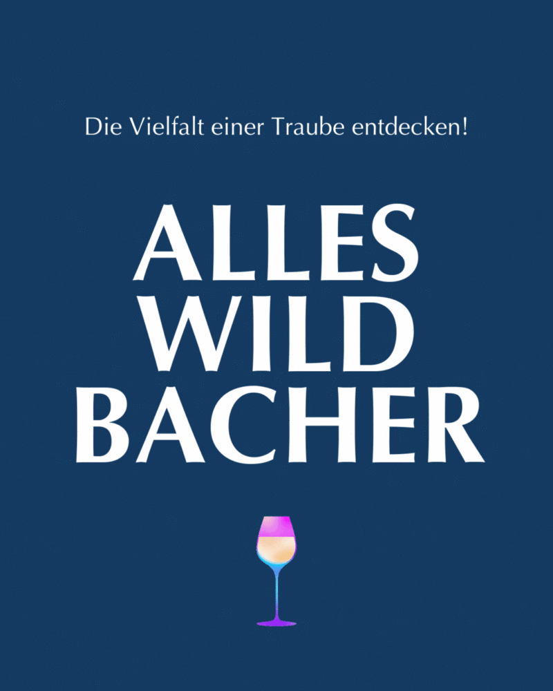 Entdecke die Vielfalt des Blauen Wildbachers! Frizzante, Weißwein, Rosé & Rotwein – ein Wein Paket voller Genuss aus der Steiermark, versandkostenfrei!